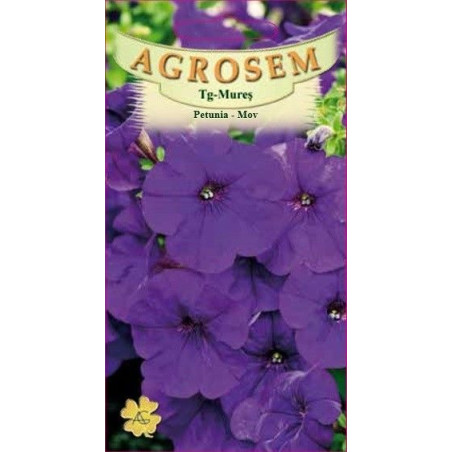 Petunia mov seminte - AS - Petunia x hybrida compacta nana Purple