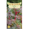 Ricin seminte - AS - Ricinus communis Gibsonii