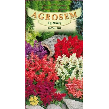 Salvia mix seminte - AS - Salvia splendens mix