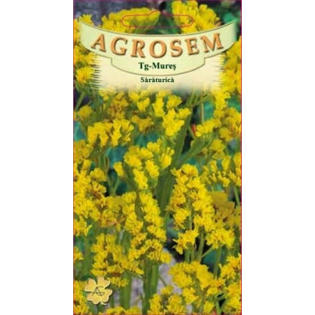 Saraturica galbena seminte - AS - Limonium sinuatum Yellow