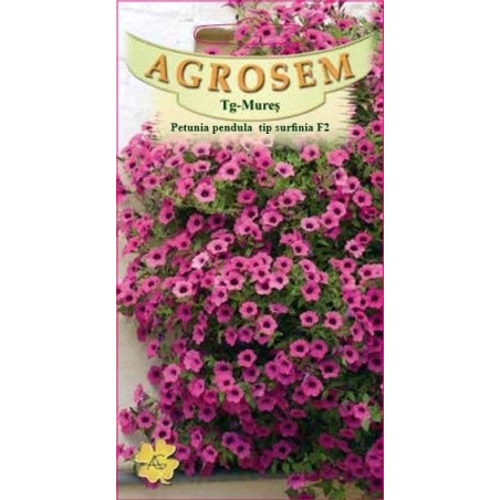 Petunia curgatoare tip surfinia F2 mov seminte - AS - Petunia x hybrida pendula F2 Purple
