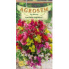 Gura leului curgatoare F1 mix seminte - AS - Antirrhinum majus pendula