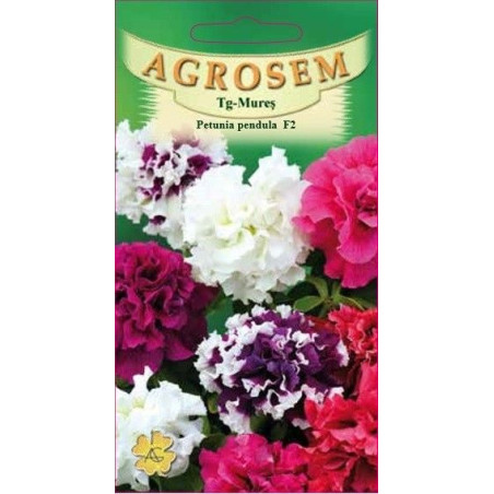Petunia curgatoare F2 seminte - AS - Petunia x hybrida pendula F2 Polka mix