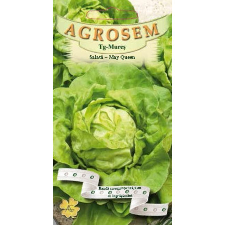 Salata seminte pe banda cu ingrasamant - AS - Lactuca sativa May Queen