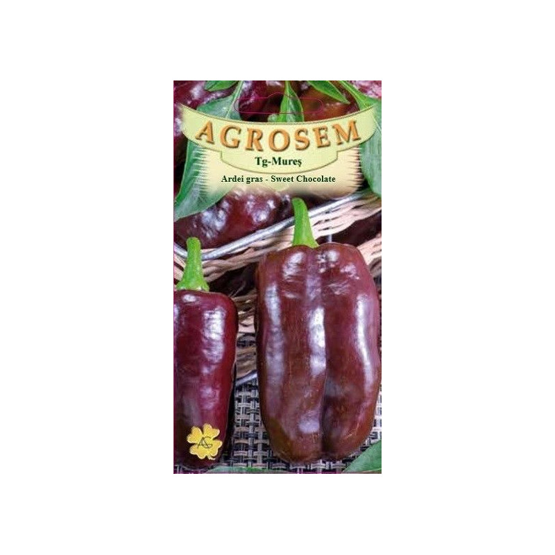 Ardei gras Sweet Chocolate seminte - Capsicum annuum