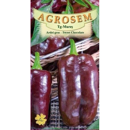 Ardei gras Sweet Chocolate seminte - Capsicum annuum