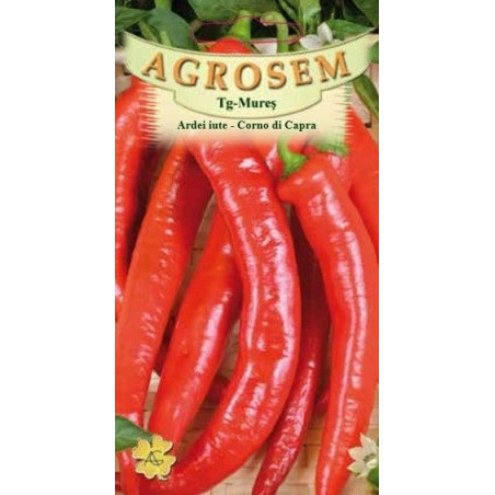 Ardei iute Corno di Capra seminte - Capsicum annuum