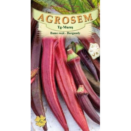Bame rosii seminte - Hibiscus esculentus Burgundy