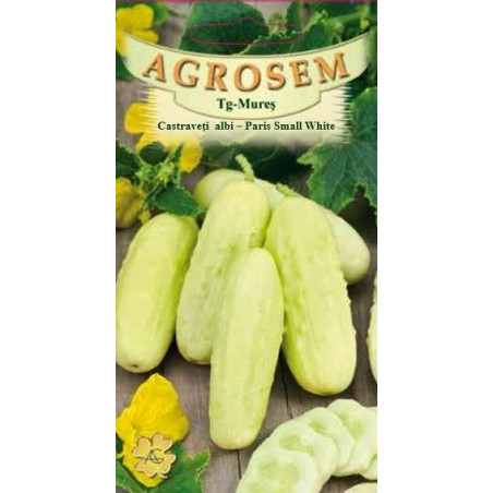 Castraveti cornichon Paris Small White seminte - Cucumis sativus