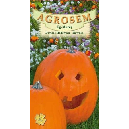 Dovleac halloween Howden seminte - Cucurbita pepo