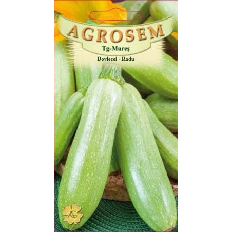Dovlecel Radu seminte - Cucurbita pepo var. giromontia