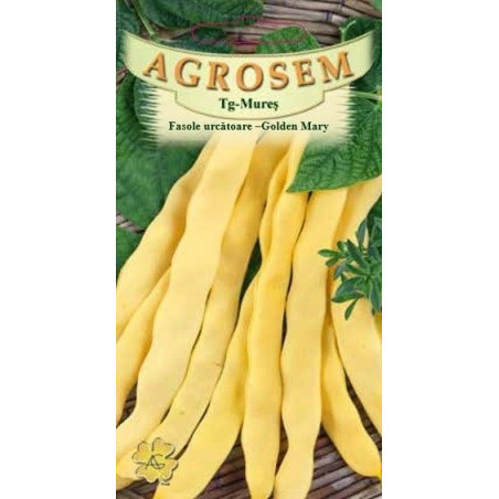 Fasole urcatoare galbena Golden Mary seminte - Phaseolus vulgaris
