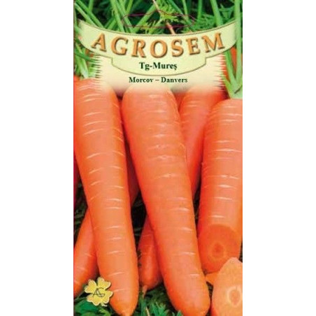 Morcov Danvers seminte - Daucus carota L.