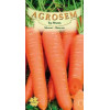 Morcov Danvers seminte - Daucus carota L.