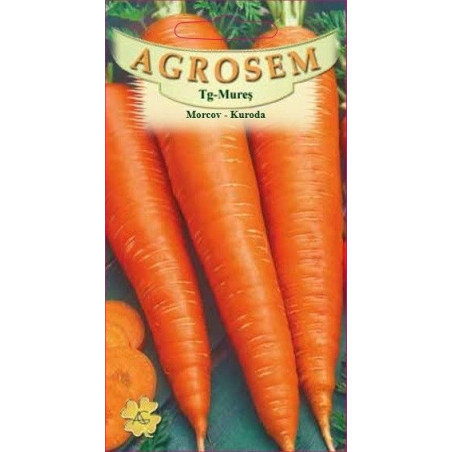 Morcov Kuroda seminte - Daucus carota L.