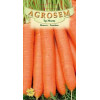Morcov Touchon seminte - Daucus carota L.