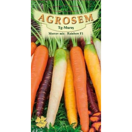 Morcov Rainbow F1 seminte - AS - Daucus carota L.