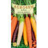 Morcov Rainbow F1 seminte - AS - Daucus carota L.
