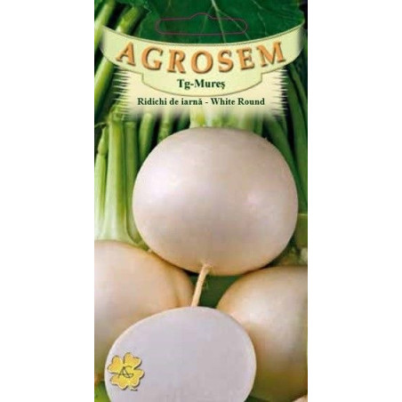 Ridichi de iarna White Round seminte - Raphanus sativus var. niger