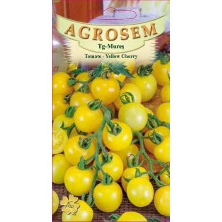 Tomate Yellow Cherry seminte - AS - Lycopersicon esculentum