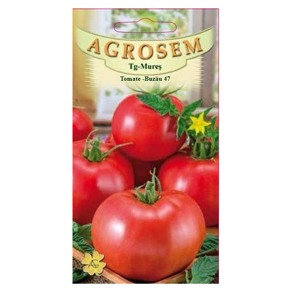 Tomate Buzau 47 seminte - AS - Lycopersicon esculentum