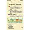 Tomate Buzau 1600 seminte - AS - Lycopersicon esculentum