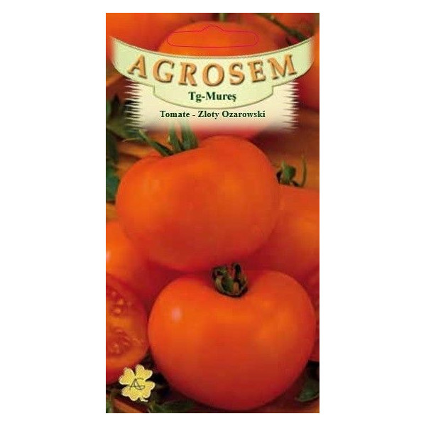 Tomate portocalii Zloty Ozarowski seminte - AS - Lycopersicon esculentum