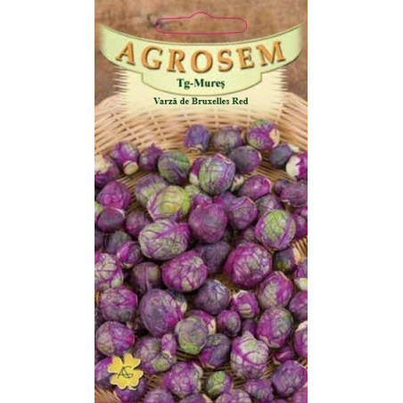 Varza de Bruxelles Red seminte - AS - Brassica oleracea var. gemmifera