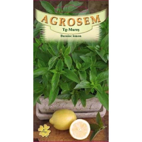 Busuioc Lemon seminte - Ocimum basilicum citriodora