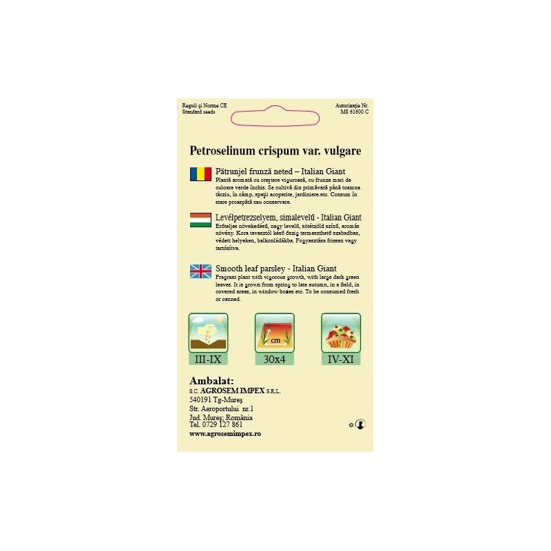 Patrunjel frunza neted Italian Giant seminte - Petroselinum crispum var vulgare