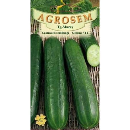 Castraveti semilungi Gemini 7 F1 seminte - AS - Cucumis sativus
