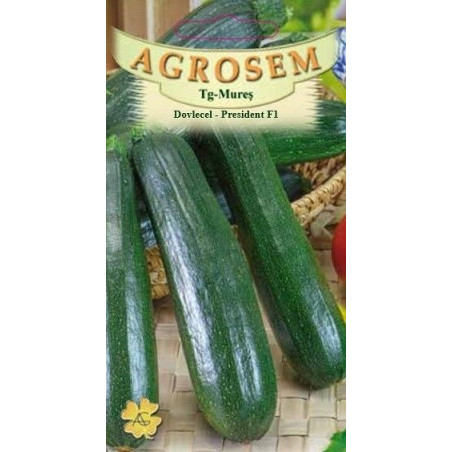 Dovlecel President F1 seminte - AS - Cucurbita pepo
