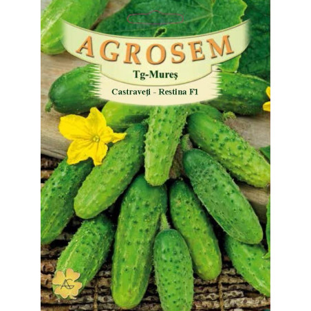 Castraveti hibrizi Restina F1 seminte - AS - Cucumis sativus