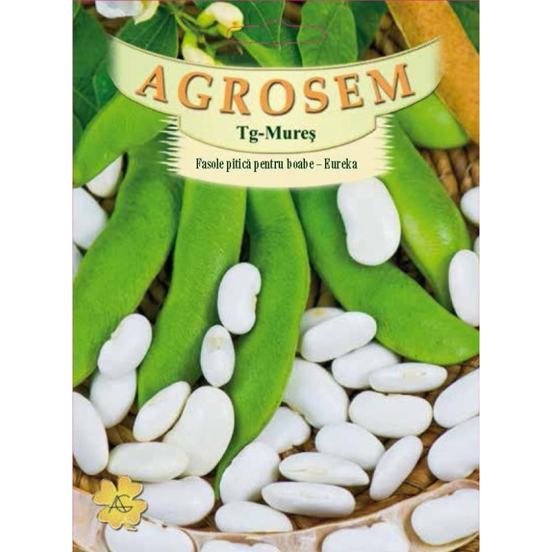 Fasole pitica pentru boabe Eureka seminte BigPack - AS - 50g