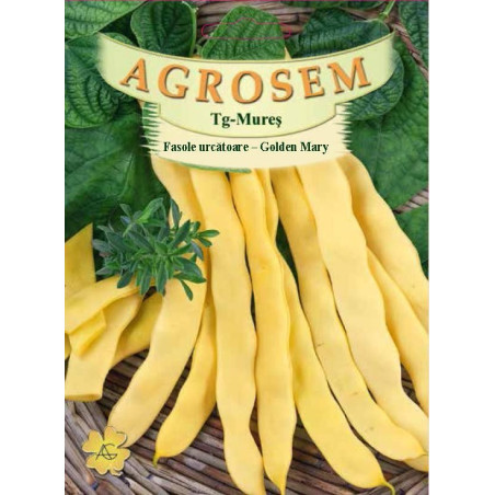 Fasole urcatoare galbena Golden Mary seminte BigPack - AS - 50g