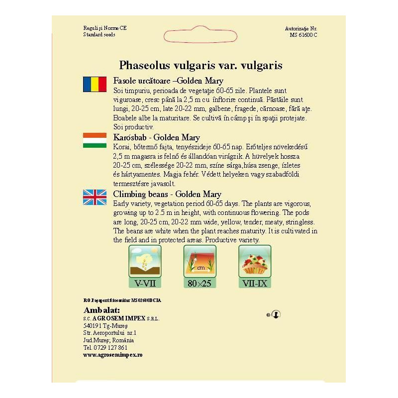 Fasole urcatoare galbena Golden Mary seminte BigPack - AS - 50g