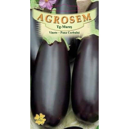 Vinete Pana Corbului seminte - AS - Solanum melongena