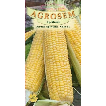 Porumb superdulce Gucio F1 seminte - Zea mays convar. sacharata