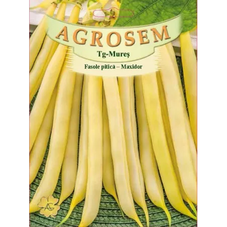 Fasole pitica galbena Maxidor seminte BigPack - AS - 100g
