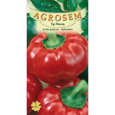 Seminte de Ardei gogosari Splendens - AS - Capsicum annuum