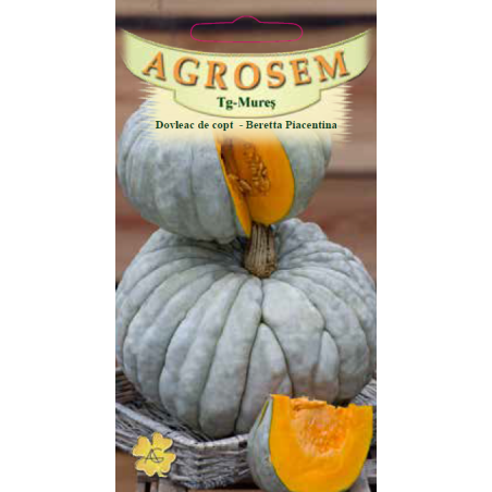 Seminte de Dovleac de copt Beretta Piacentina - AS - Cucurbita maxima 