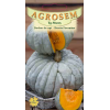 Seminte de Dovleac de copt Beretta Piacentina - AS - Cucurbita maxima 
