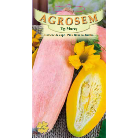 Seminte de Dovleac de copt Pink Banana Jumbo - AS - Cucurbita maxima 