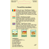 Seminte de Dovleac de copt Pink Banana Jumbo - AS - Cucurbita maxima 