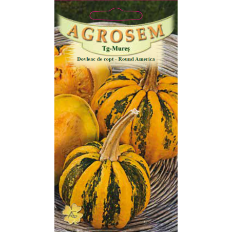 Seminte de Dovleac de copt Round America - AS - Cucurbita maxima