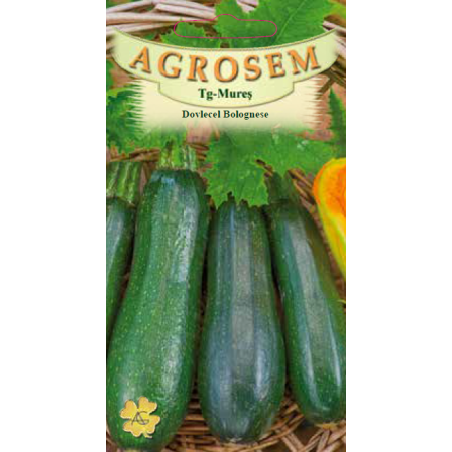 Seminte de Dovlecel Bolognese - AS - Cucurbita pepo var. giromontia