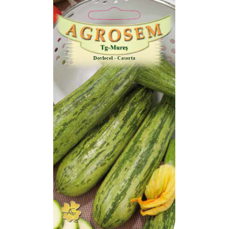 Seminte de Dovlecel Caserta - AS - Cucurbita pepo var. giromontia