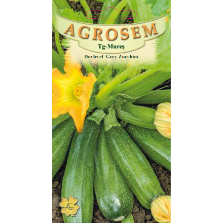 Seminte de Dovlecel Grey Zucchini - AS - Cucurbita pepo var. giromontia