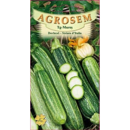 Seminte de Dovlecel Striato D'Italia - AS - Cucurbita pepo var. giromontia