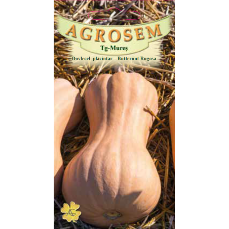 Seminte de Dovlecel placintar Butternut Rugosa - AS - Cucurbita moschata
